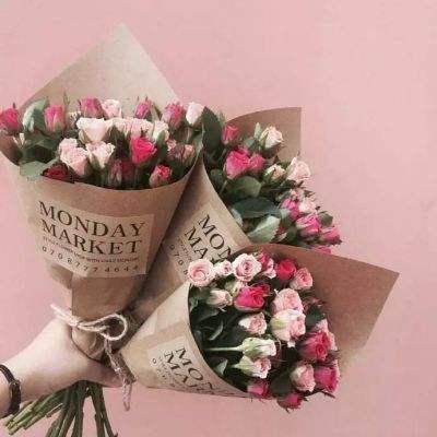 皇冠新体育下载手机版