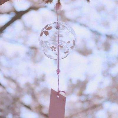 助赢软件app下载手机版