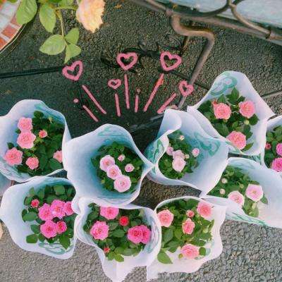 澳门网上黄金城下载手机版截图