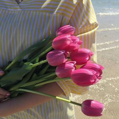 娱乐宝官网手机app下载